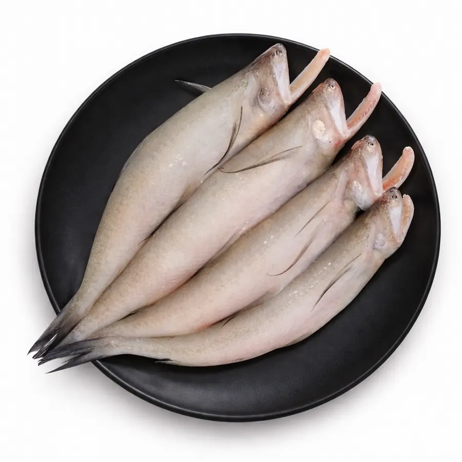Bombil (Bombay Duck)