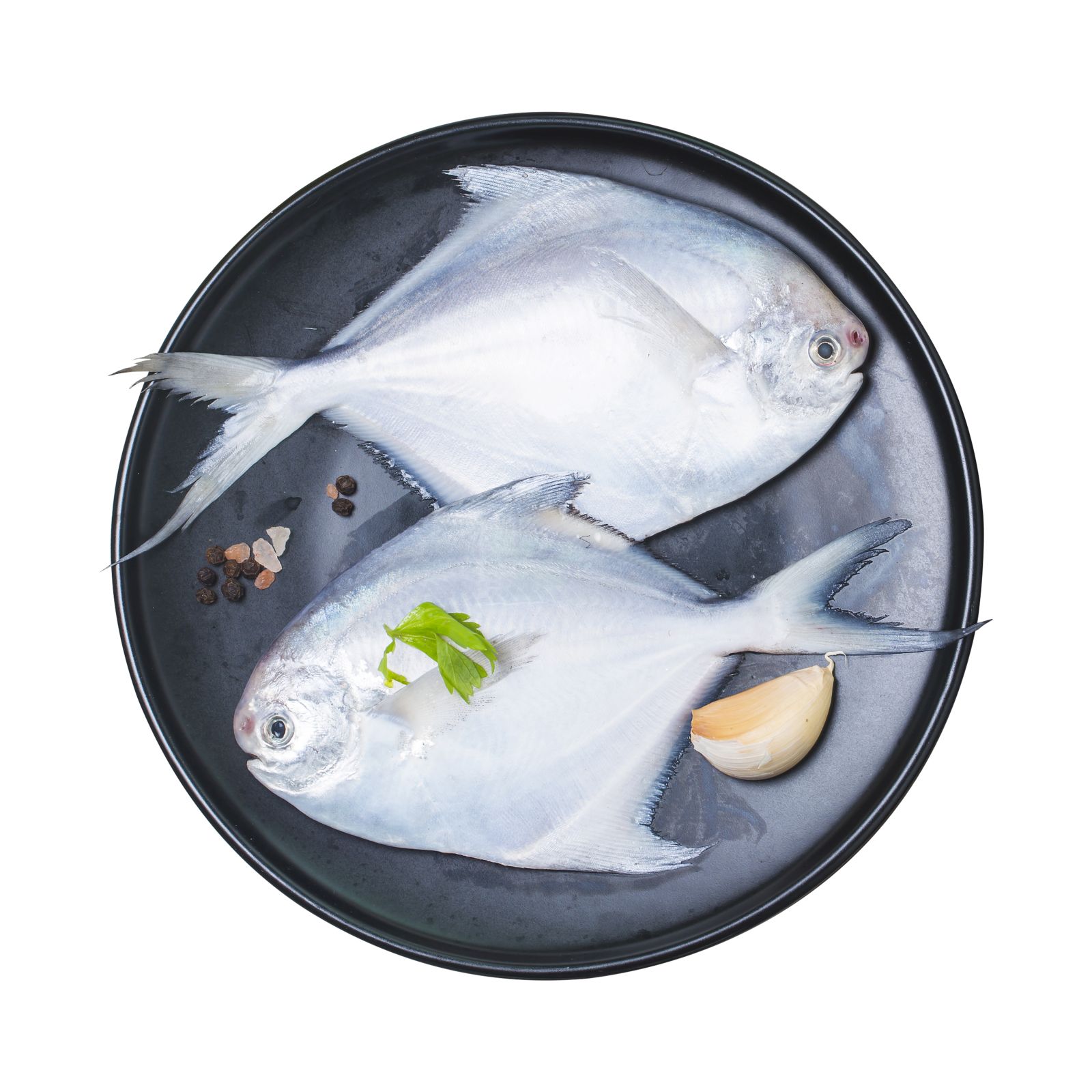 Pomfret